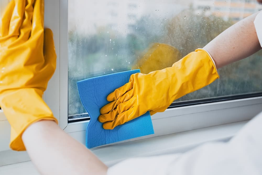 Residential Window Cleaning Services